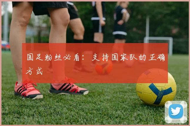 国足粉丝必看:支持国家队的正确方式