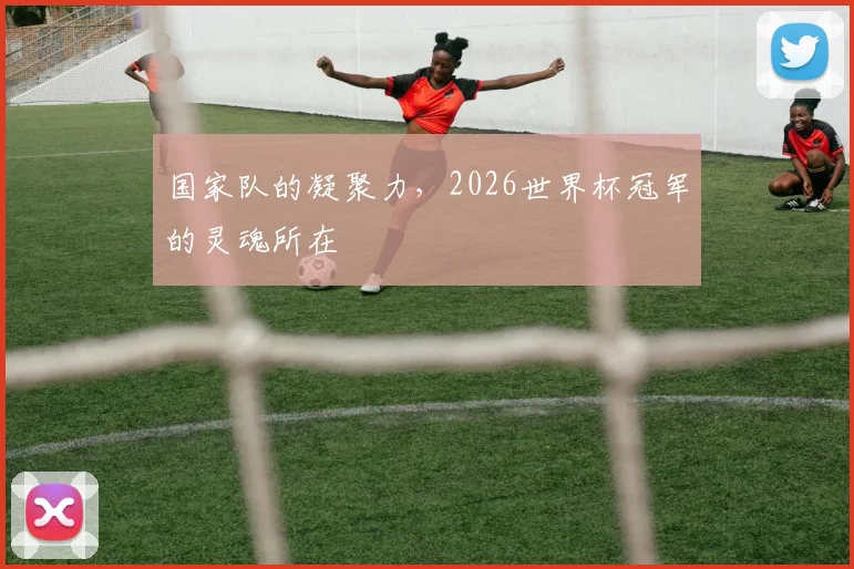 国家队的凝聚力,2026世界杯冠军的灵魂所在